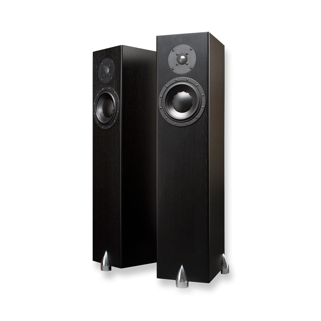 Totem Acoustic Forest