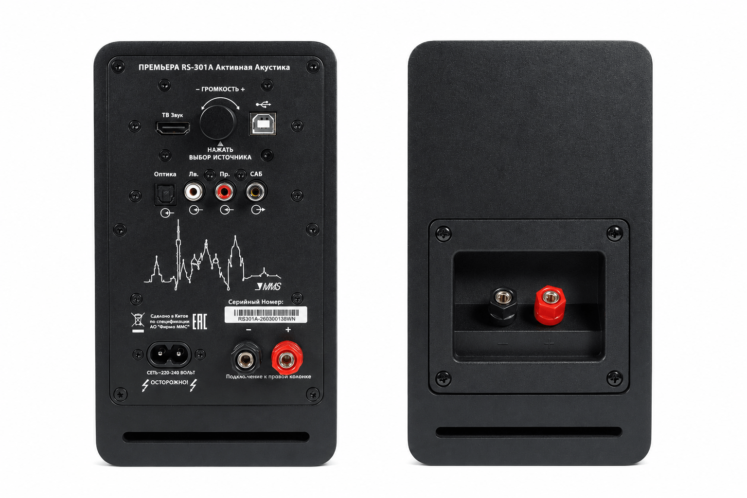Активная акустическая система Premiera RS-301A — изображение 2