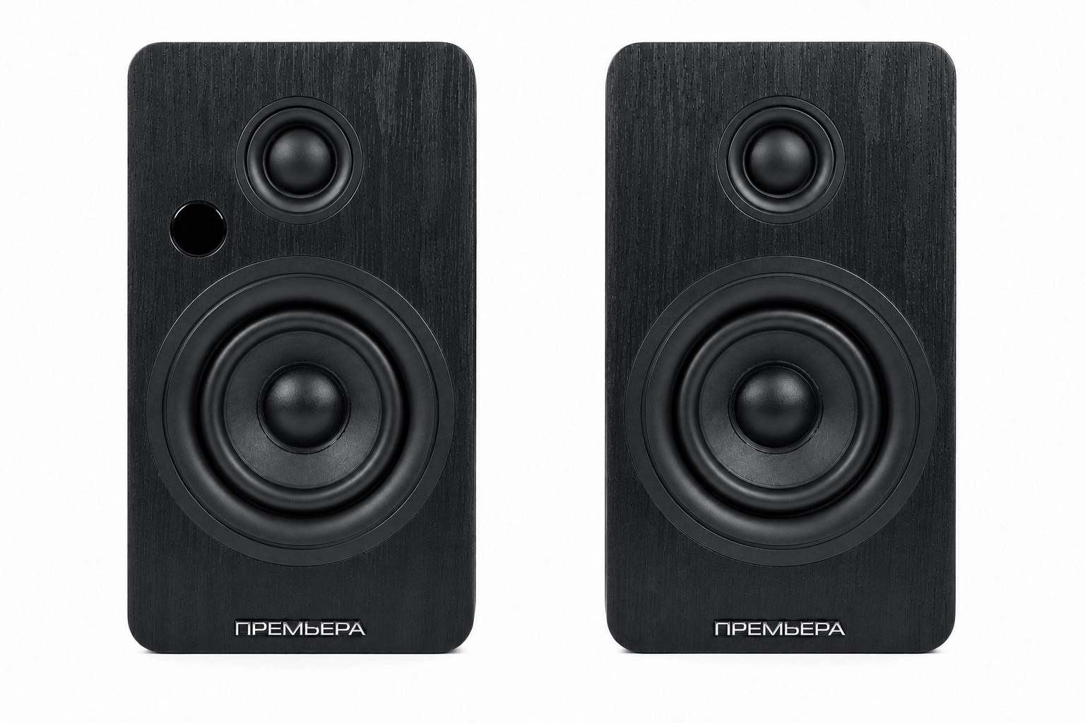 Активная акустическая система Premiera RS-301A — изображение 6